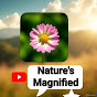 Nature's magnified