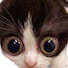 IQds9QdZVYk-channel-avatar-Crispy