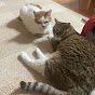 たろ