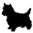 CjKh8DGlrtE-channel-avatar-carlsson_janne