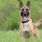 Pet.funny799
