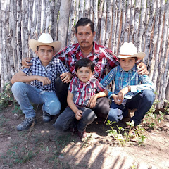 Los Rancheritos De Sinaloa Avatar