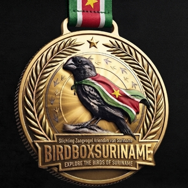 BIRDBOX SURINAME