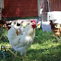 Tiervideos für Kinder Avatar