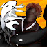 tezWMXJvvUs-channel-avatar-Nadirry