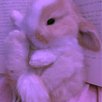 Sofii profile image