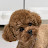 @진한초코top