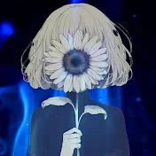 senka -1000華-