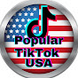 Popular TikTok USA logo