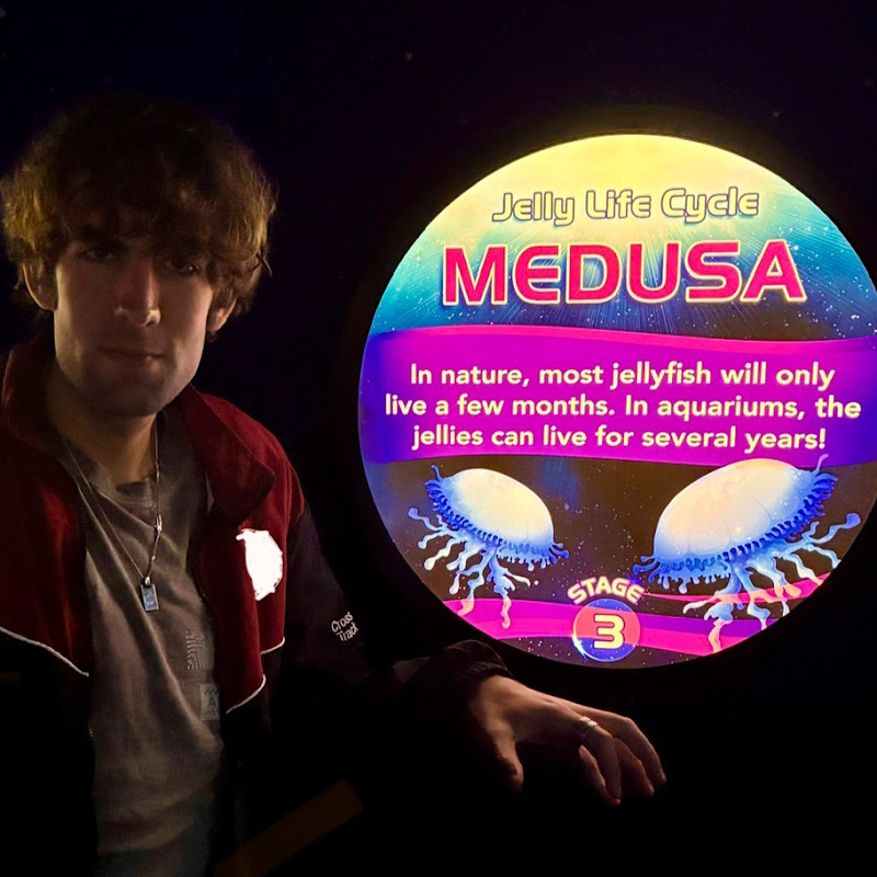 Deusy