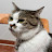 @meomeo13-j3u