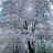 @오은화-i9m