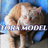 8yDtUdLahVc-channel-avatar-TORA MODEL