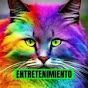 GILBERTO ENCISO - @GILBERTOENCISO-n8d - Youtube