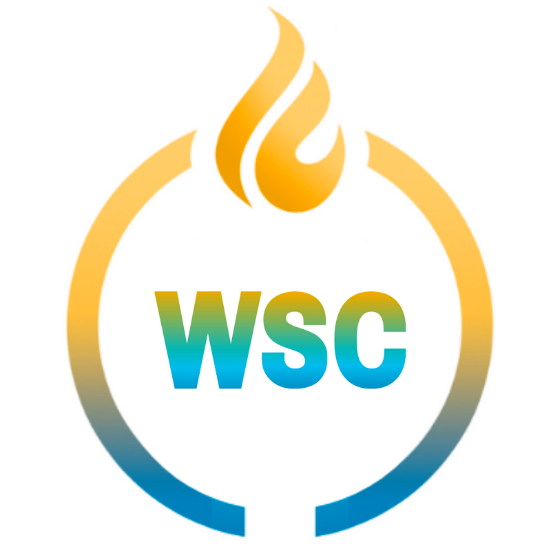 Winning Spirit Coach