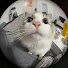 Qv-PpPbxfCU-channel-avatar-얀이