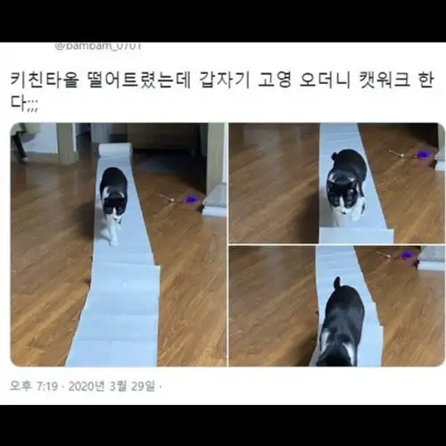 BlockNote image