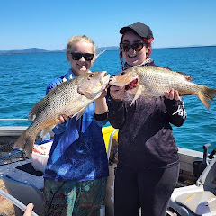 Boats N Beaches net worth