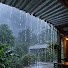 VTee5KOIOuQ-channel-avatar-Rainy Forest Mood