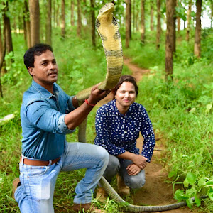 UCgOVUKiAaZtXOTD5dwJA6-Q YouTube channel image