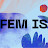 FEM IS