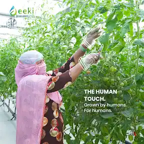 eeki YouTube channel