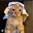 avatar of @yo.local.halal.cat364