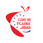 Czas na polskie jabłka logo