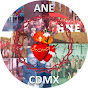 ANE CDMX