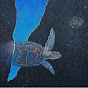 Tripping Turtles Avatar