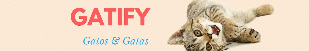 Gatify - Videos para Gatos y Gatas Awatar kanału YouTube