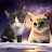 @fallwintercats