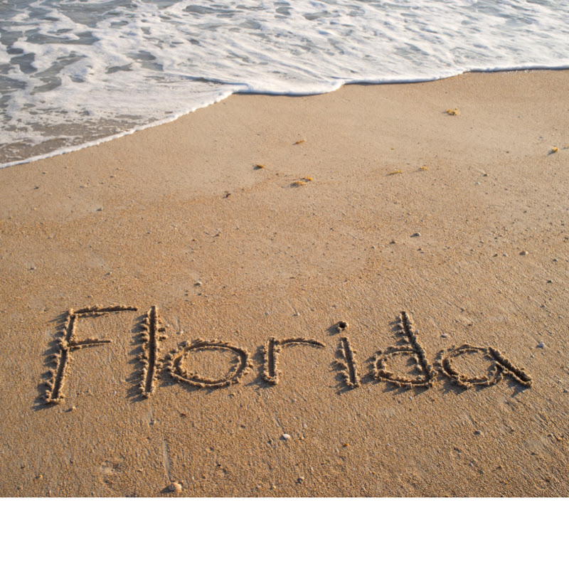 Sunshine State Sagas