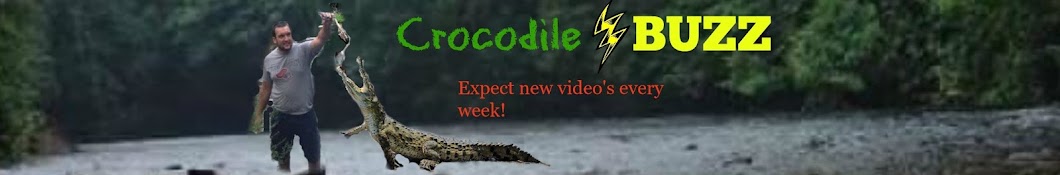 CrocodileBuzz888 YouTube channel avatar