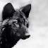 kLeitK4SPko-channel-avatar-SneakyBlackGuy
