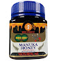 Manuka Honey Guru logo