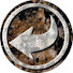 pd5MfuXlPqY-channel-avatar-Counter Trap Collective
