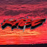 M3QYaH5zkps-channel-avatar-Raze Uncensored