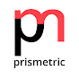 Prismetric Technologies Pvt Ltd logo