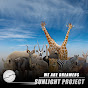 Sunlight Project - Topic