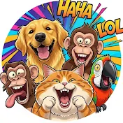 Crazy Pet Moments