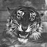 IULVu3P7oDM-channel-avatar-foundin_a_attic  