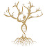 aErLiw0WIOg-channel-avatar-Eco degli Antenati