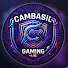 58ss-8hBUAI-channel-avatar-Cambasil_Gaming
