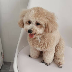 Oats♀️アイコン画像