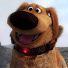 PyRYFA7kIPs-channel-avatar-Wilderness Explorer 7