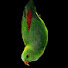 56-z67WNulY-channel-avatar-Lensa alam