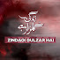 HkRRv2tz4yA-channel-avatar-Zindagi Gulzar Hai