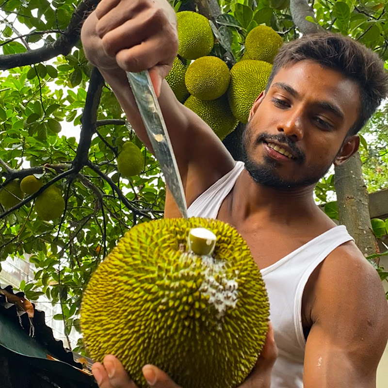 NB.  common fruits & foods.(xa-777)