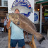 OLiSAoj85uE-channel-avatar-Wasted Paychecks Spearfishing